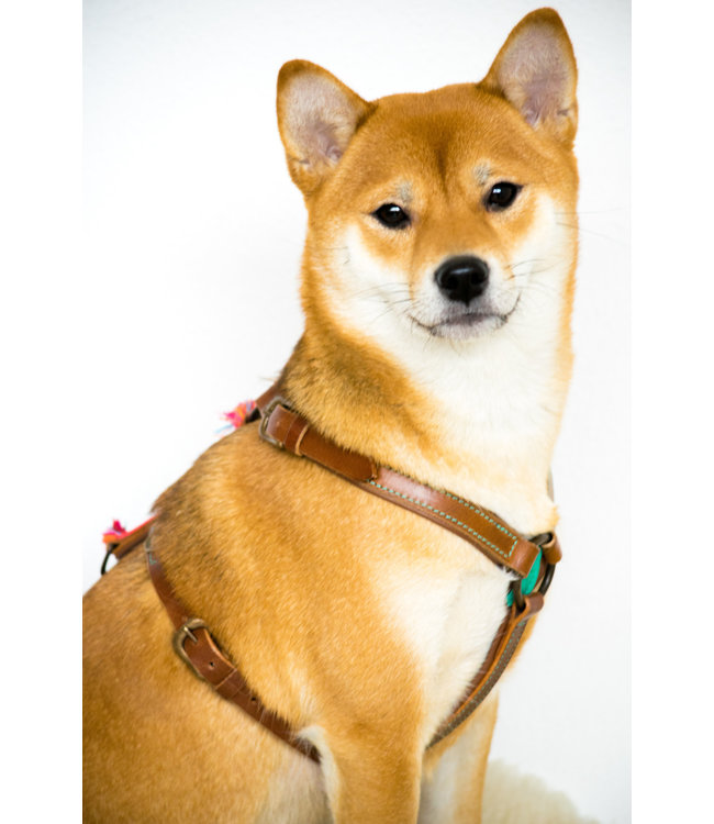 Dog with a Mission - Hundegeschirr Boho Rosa - Größe XS