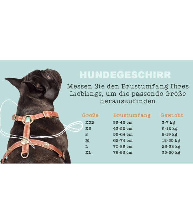 Dog with a Mission - Hundegeschirr Boho Juan