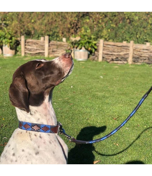 Flöckchens - Hundeleine Noble aus Büffelleder