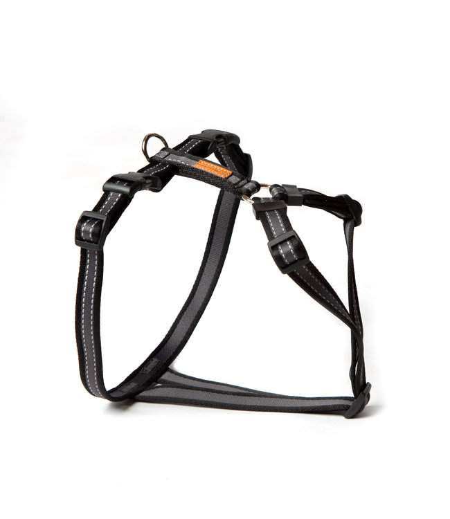 Feltmann - Hundegeschirr - Brustgeschirr für Mops