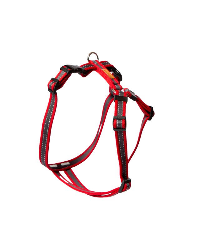 Feltmann - Hundegeschirr - Brustgeschirr für Mops