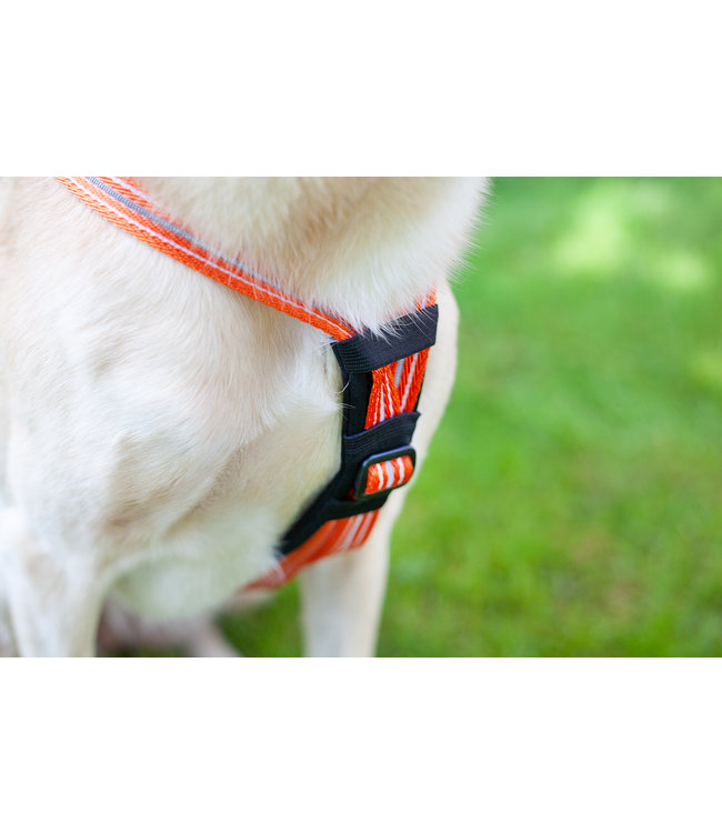 Feltmann - Brustpolsterung aus Neopren für Feltmann Hundegeschirre