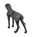 Rukka Pets - Hundemantel Comfy - forest