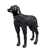 Rukka Pets - Hundeoverall Windmaster