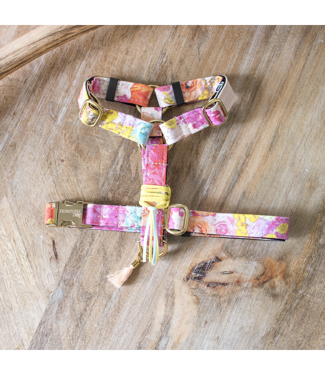 Frimousse Dog - Hundegeschirr Pitchounette