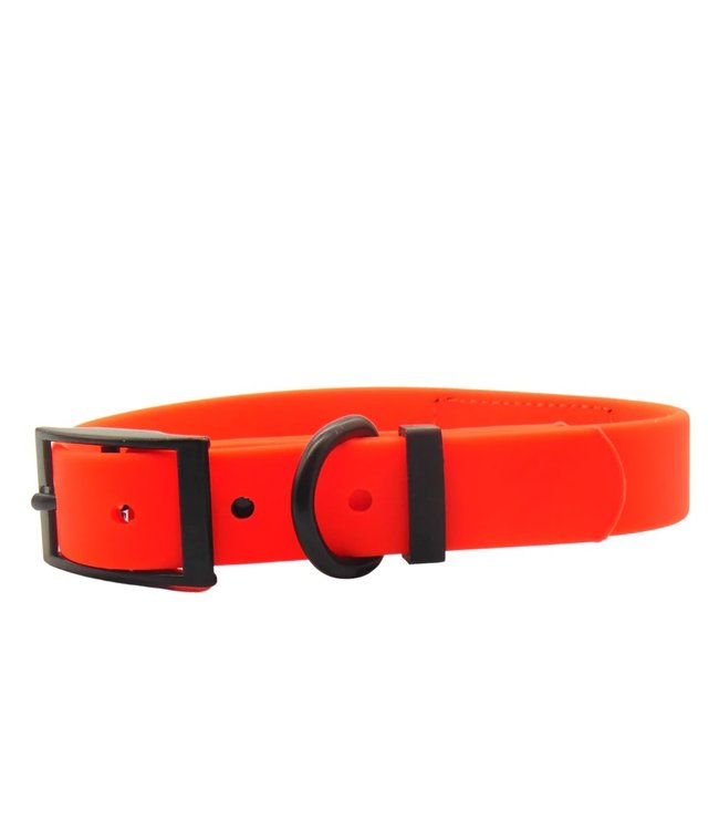 Schmuddelschnute - Hundehalsband Schietwedda orange