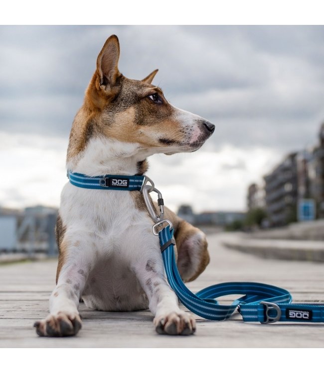 Dog Copenhagen - Hundehalsband Urban Style™ Ocean Blue