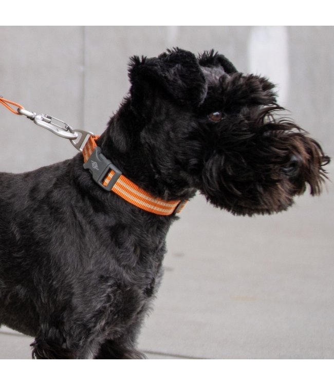 Dog Copenhagen - Hundehalsband Urban Style™ Orange Sun