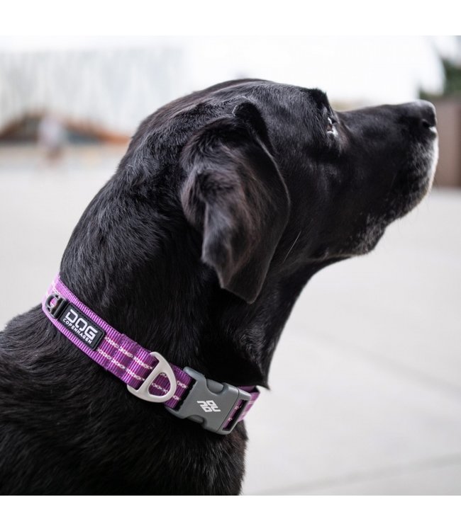 Dog Copenhagen - Hundehalsband Urban Style™ lila