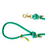 Frimousse Dog - Hundeleine Vert menthe