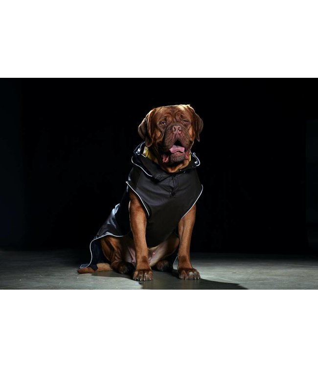 Rukka Pets - Hunderegenmantel Stream braun