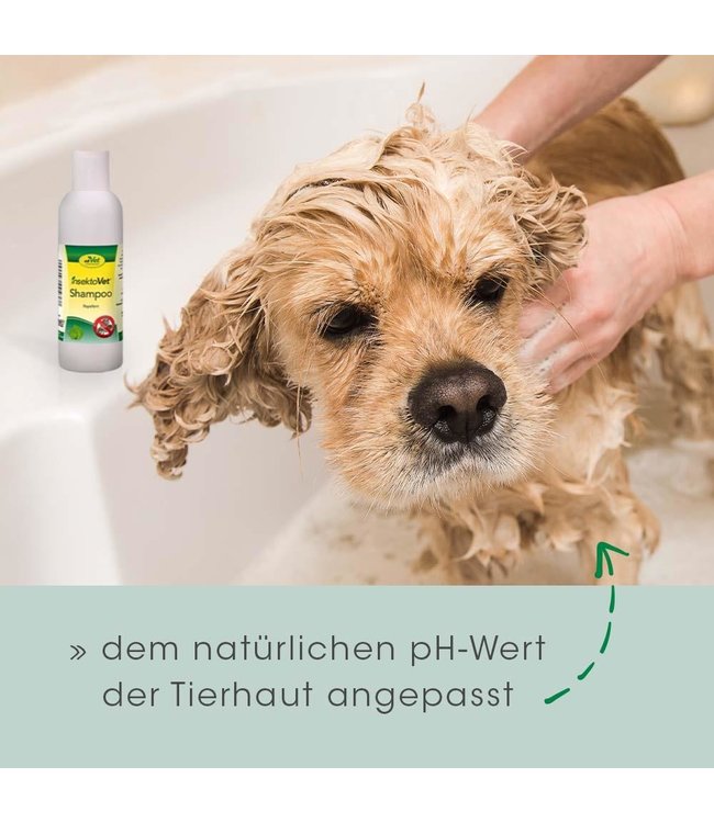 cdVet - insektoVet Shampoo - 100ml