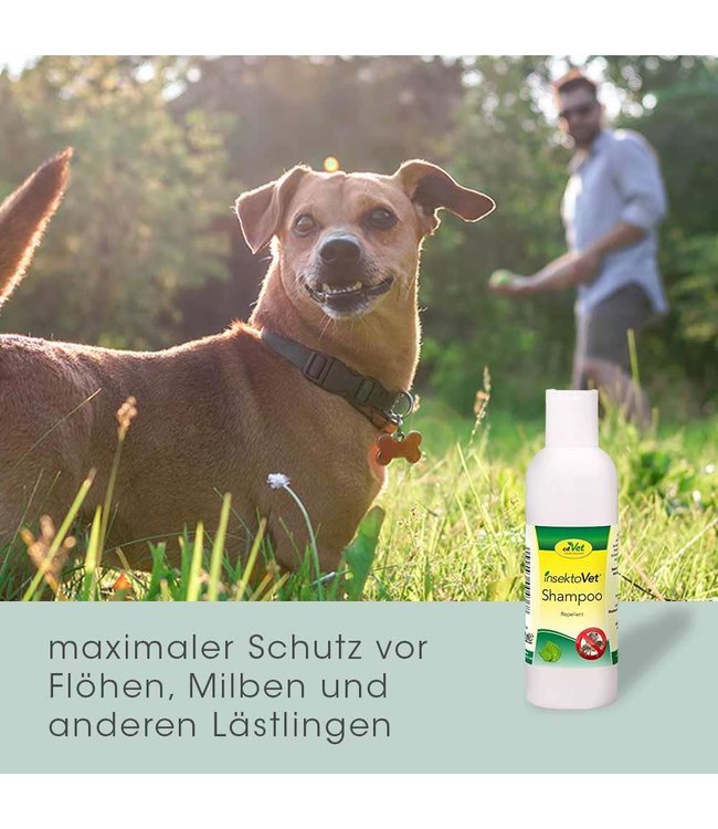 cdVet - insektoVet Shampoo - 100ml