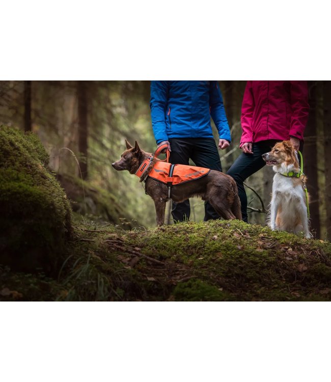 Icepeak Pet -  Hundehalsband Brightly