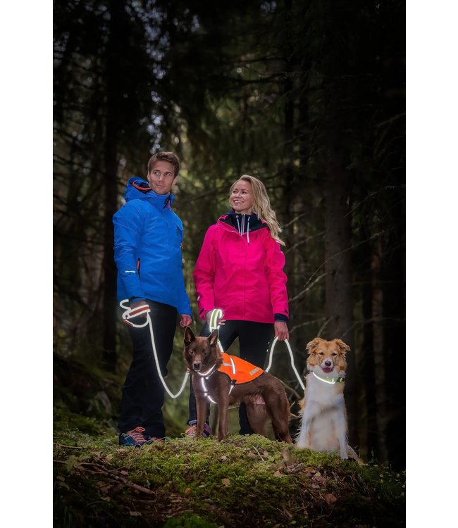 Icepeak Pet -  Hundehalsband Brightly