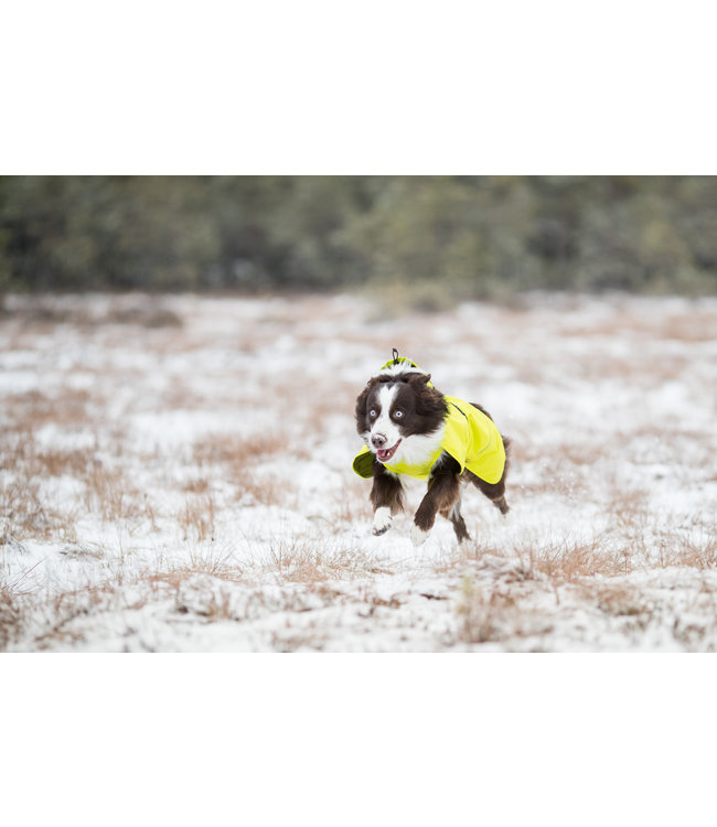 Icepeak Pet -  Hunderegenmantel Strike