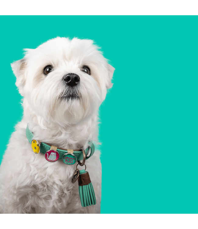 Dog with a Mission - Hippie Hundehalsband California Dreaming