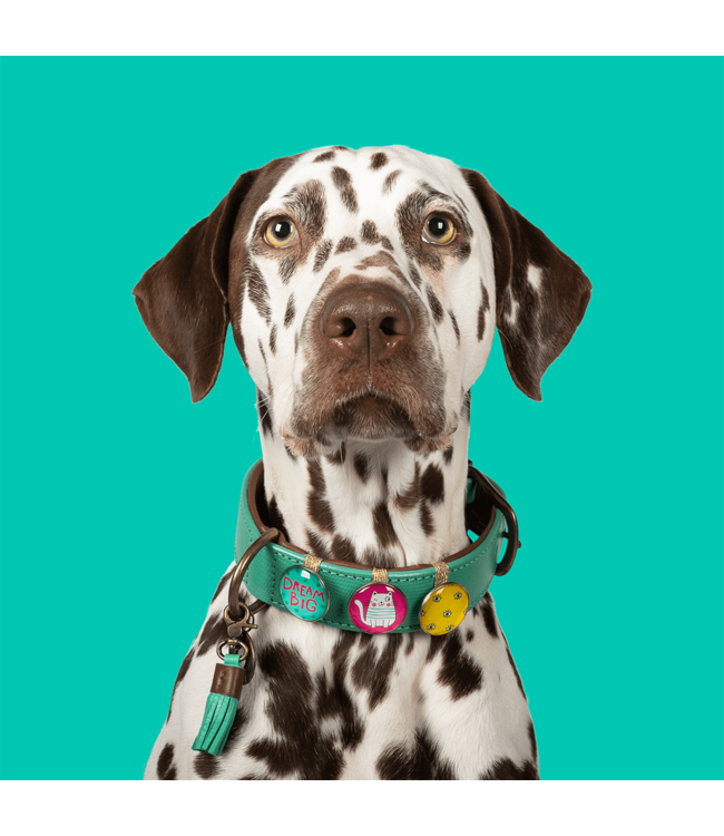 Dog with a Mission - Hippie Hundehalsband California Dreaming