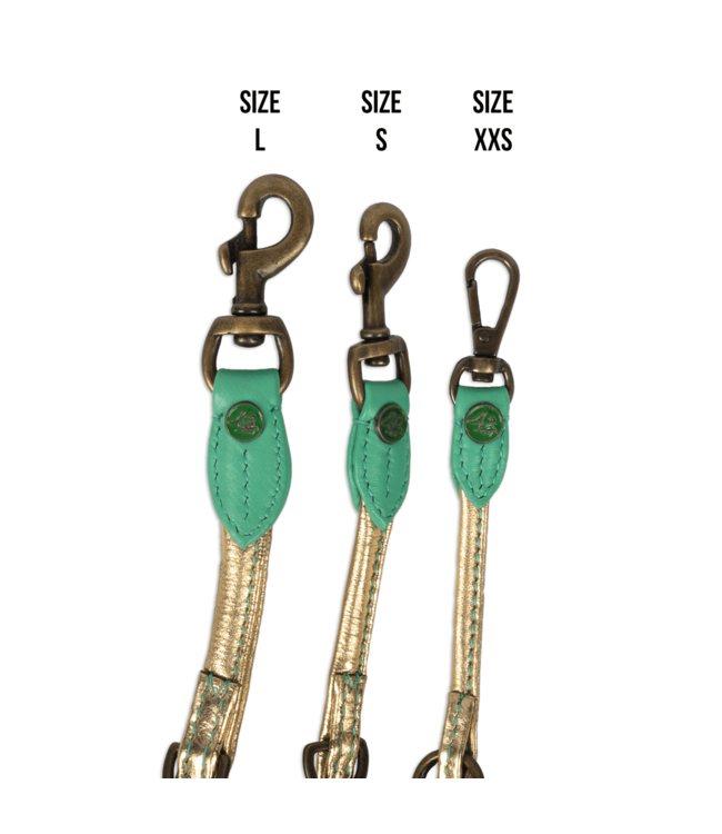 Dog with a Mission - Hundeleine Extra Lang Orange