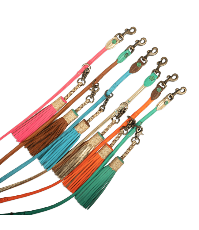 Dog with a Mission - Hundeleine Extra Lang Orange