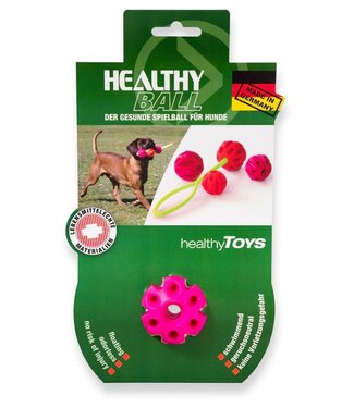 Healthy Toys - Hundespielzeug Healthy Ball