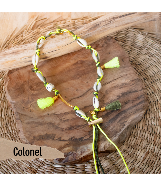 Frimousse Dog - Kette für Hunde Porte Medaille Coquillage