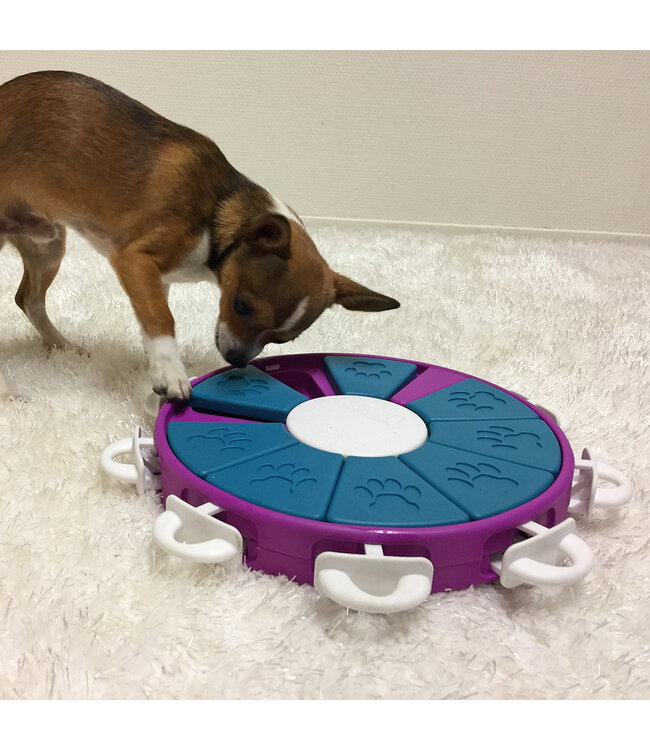 Nina Ottosson - Dog Twister Level 3