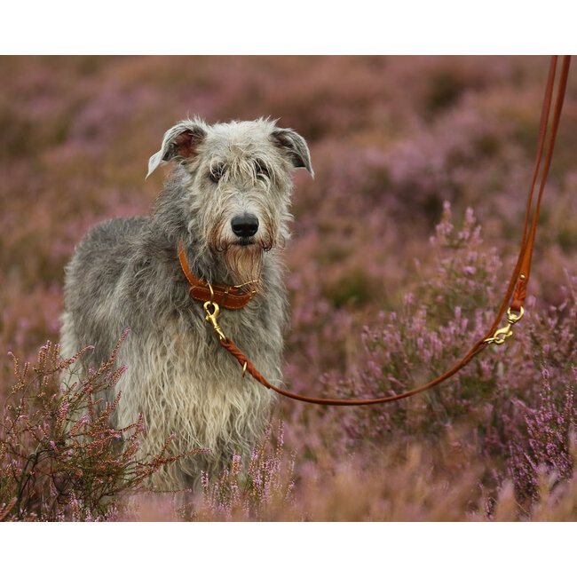 Hundeleinen Konfigurator