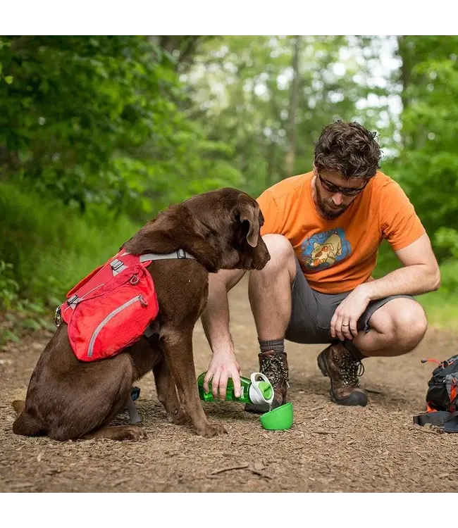 Kurgo - Gourd Wasserflasche und -napf