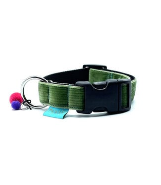 Mooizo -  Hundehalsband Green Velvet