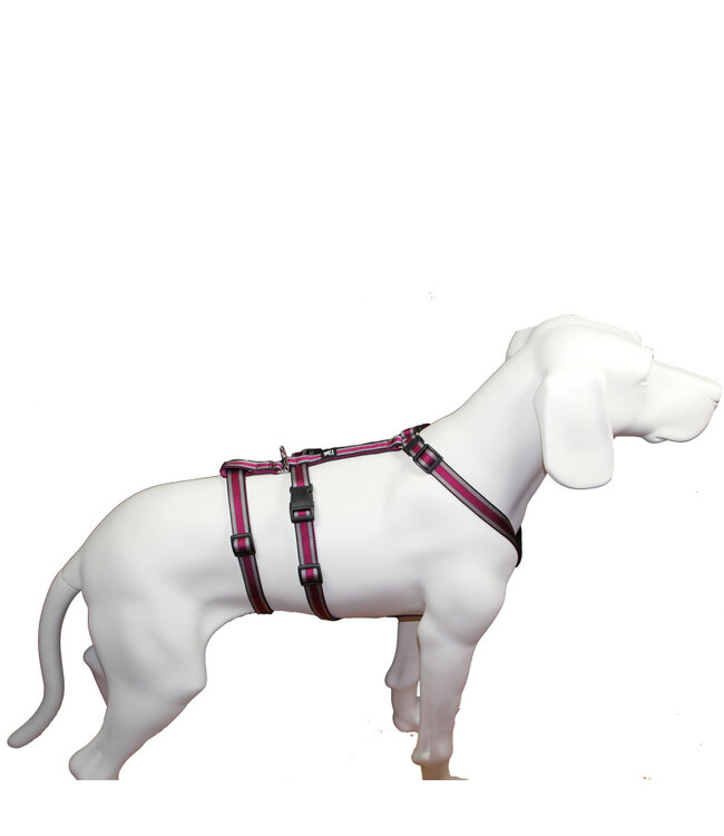 Feltmann - Hundegeschirr NoExit Sicherheitsgeschirr