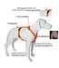 Feltmann - Hundegeschirr Mantrailing/Suchgeschirr Basic