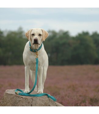 Hundeleinen Konfigurator - Test