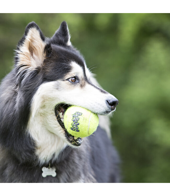 Kong - Hundespielzeug  SQUEAKAIR BALL W/ROPE