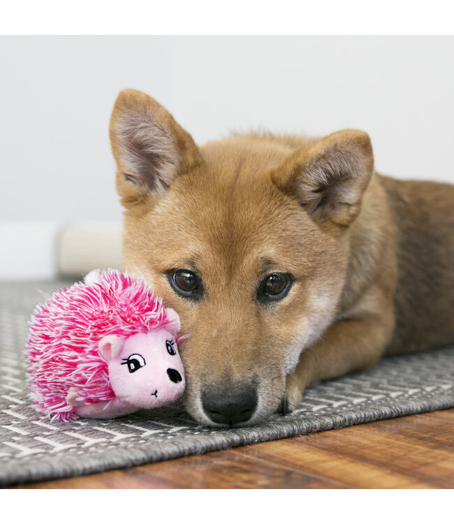 Kong - Hundespielzeug  COMFORT HEDGEHUG PUPPY