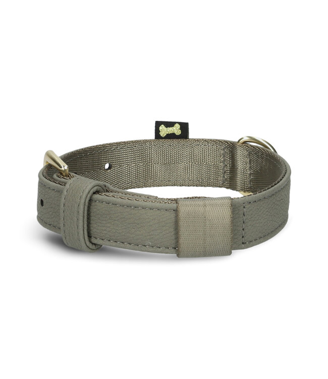 ZWEI - Hundehalsband Leo - Fango