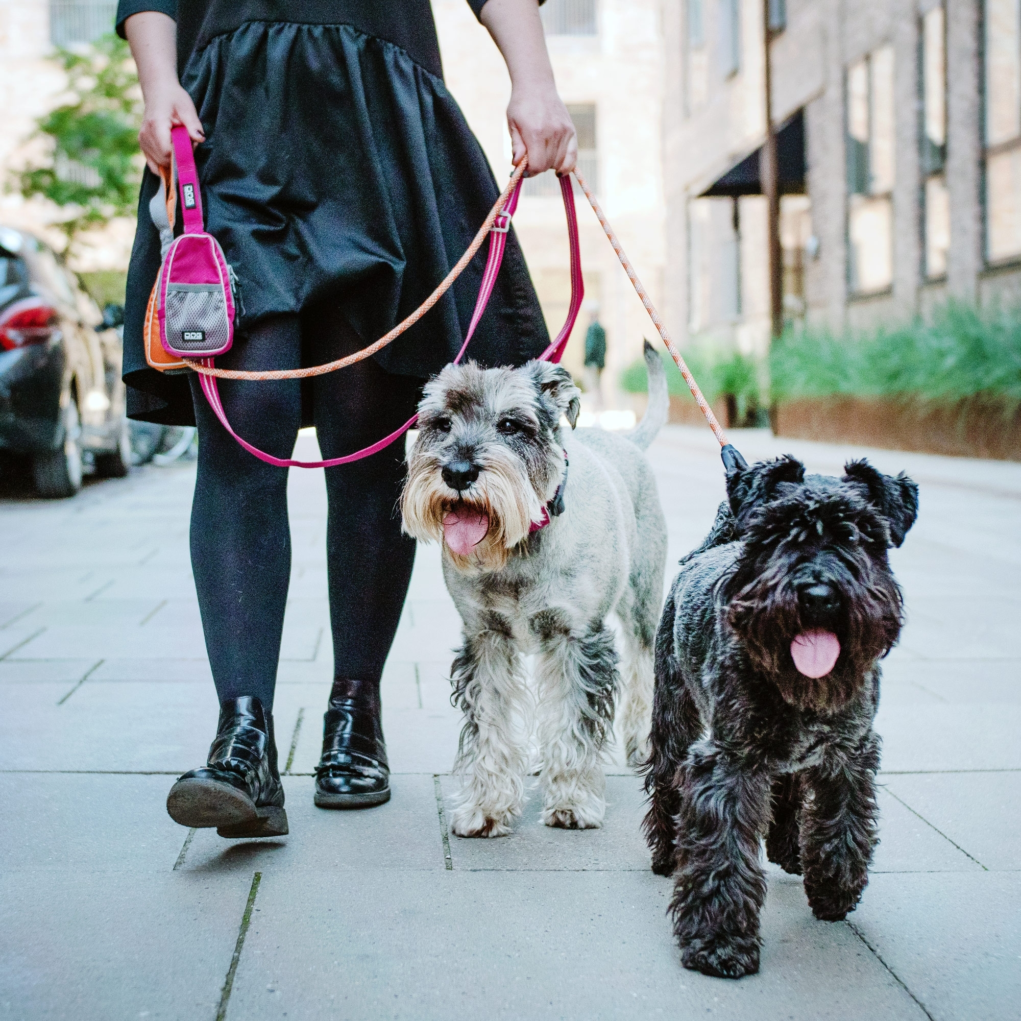 Dog Copenhagen Leine passend zum Hundegeschirr