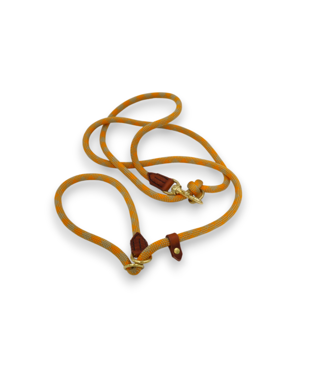 Flöckchens - Retrieverleine Orange/Beige