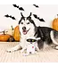 Pet Shop by Fringe Studio - Hundespielzeug Oh my Gauze
