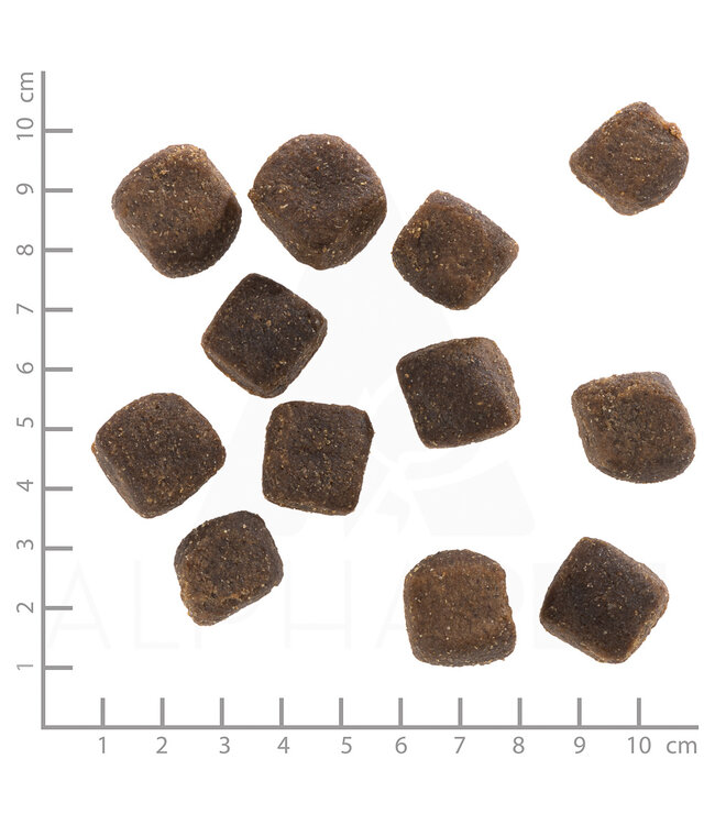 Wolfsblut - Hundesnack Squashies Wild Duck