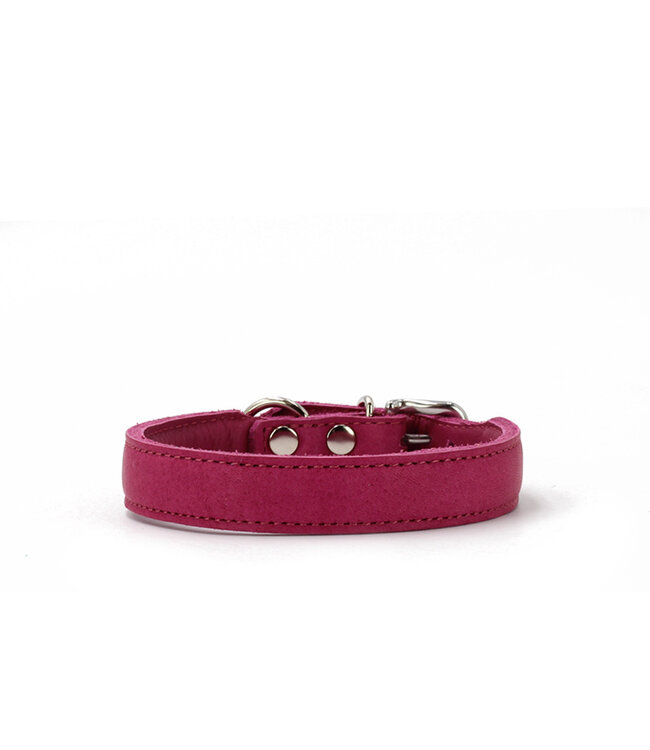 Maul Ledermanufaktur - Hundehalsband Mono Pop - Himbeere