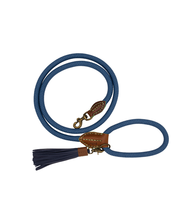 Dog with a Mission - Hundeleine Classic Buster