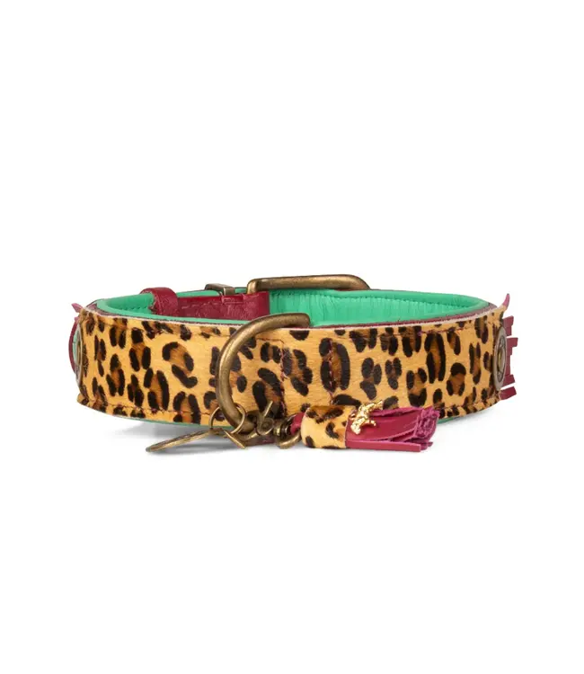 Dog with a Mission - Hippie Hundehalsband Lou Lou