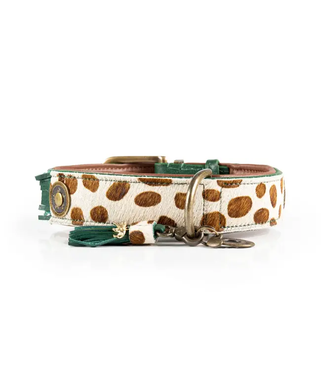 Dog with a Mission - Hippie Hundehalsband Ivy - NEW DESIGN