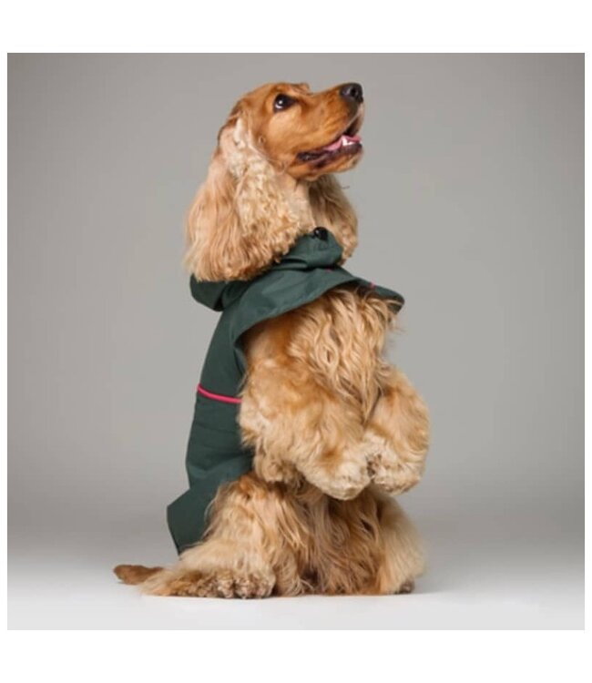 tQel  Hunderegenjacken Tintin Olive