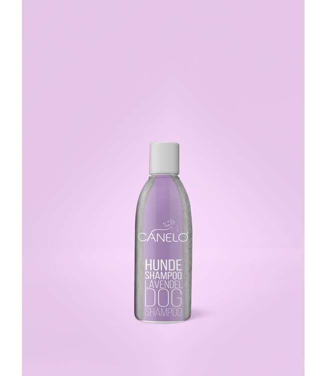 Canelo Dog Care -  Hundeshampoo – Lavendel 200ml