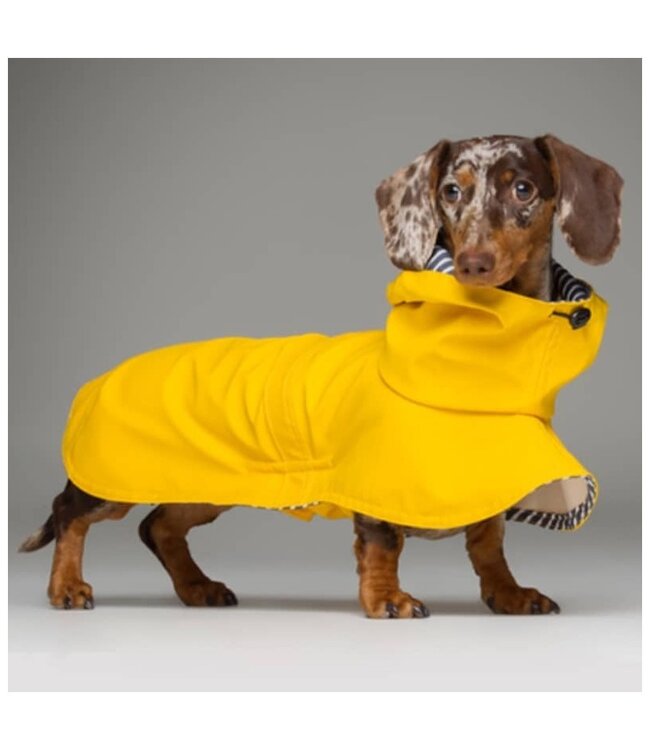 tQel  Hunderegenjacken Tintin Gelb