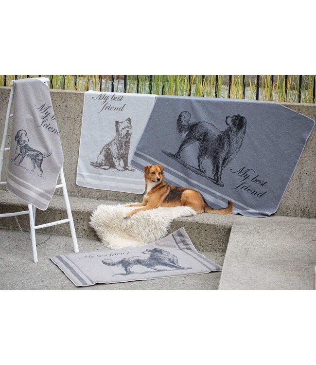 David Fussenegger - Hundedecke Jagdhund