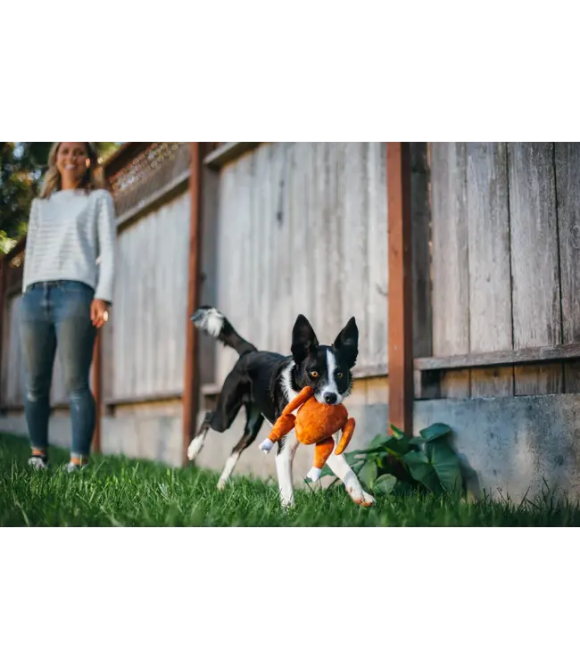 P.L.A.Y. - Hundespielzeug  Holiday Classic Collection