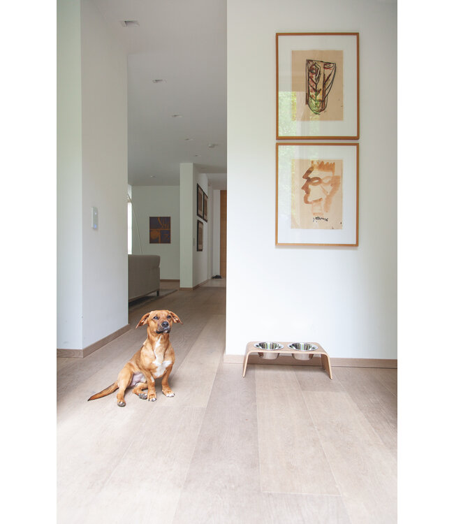 dogBar® - Design-Futterstation Futterstation dogBar®